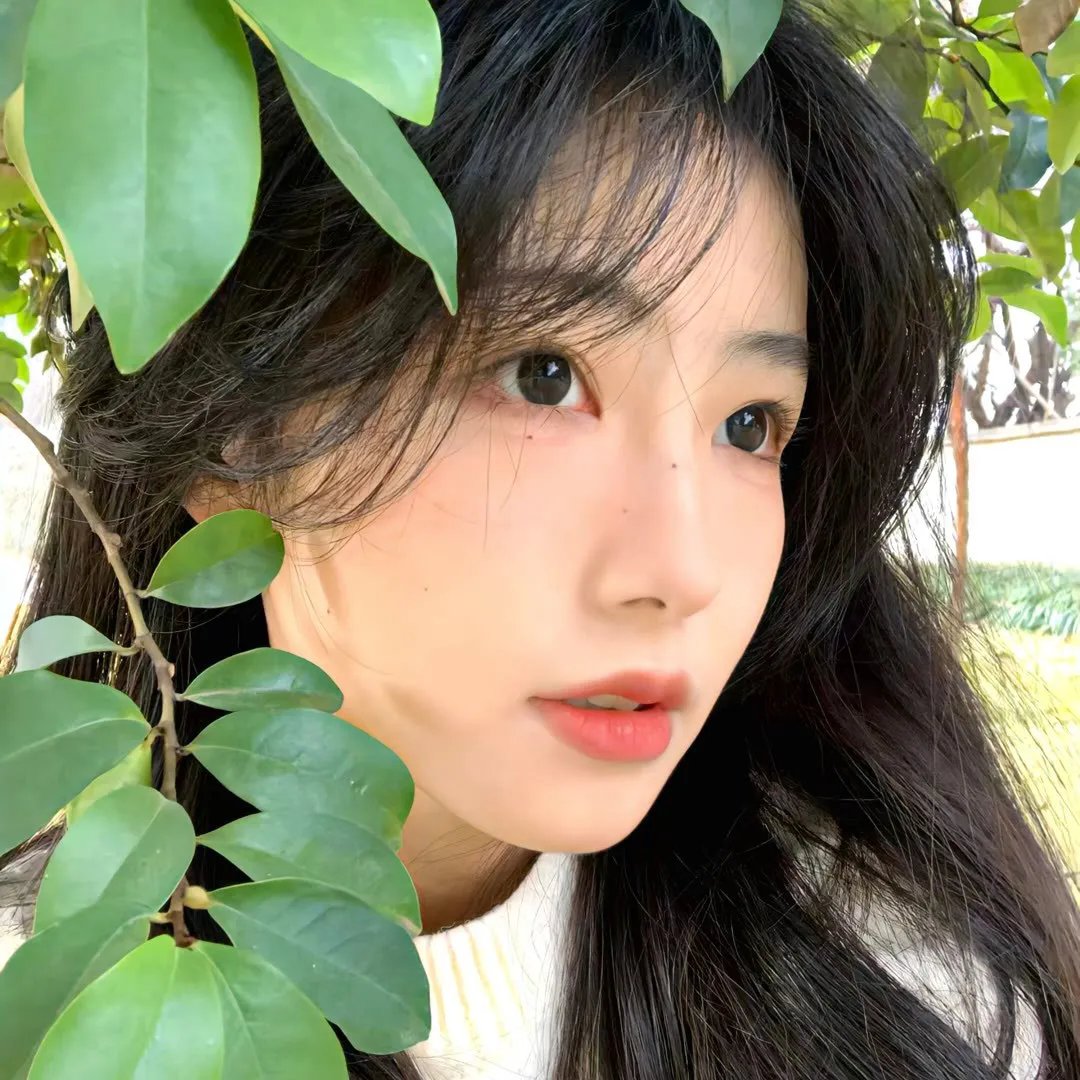 熊出没